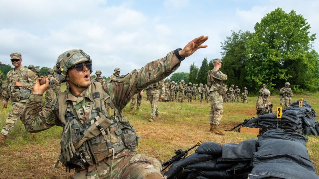 What are AEA Codes in the Army